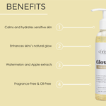 Load image into Gallery viewer, Glow-Up Cleanser